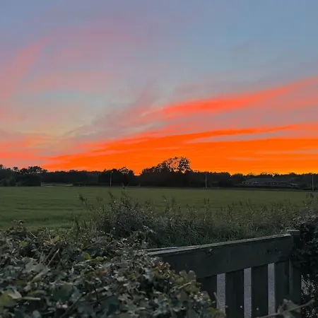 Holiday home Dune Lagoon *